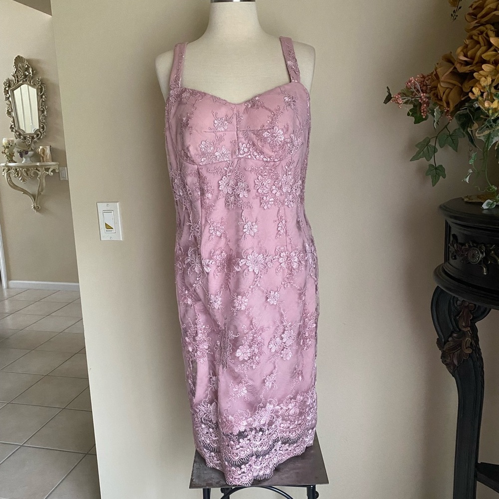 Alex Evenings Pink Lace Embroidered Slip Dress